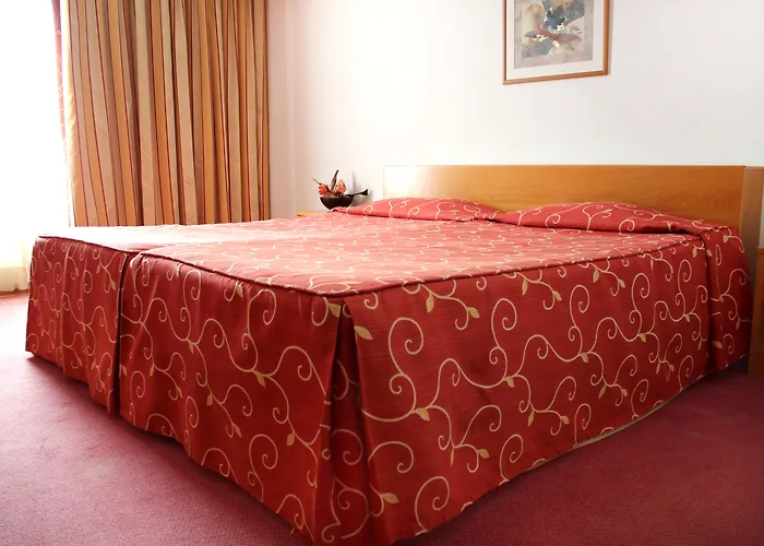 Premium Porto فندق